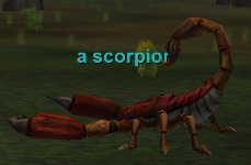 a scorpion